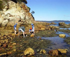 Sapphire Coast Marine Discovery Centre - Hotel Accommodation 0