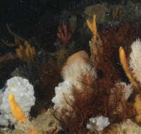 Point Hicks Marine National Park - Hotel Accommodation