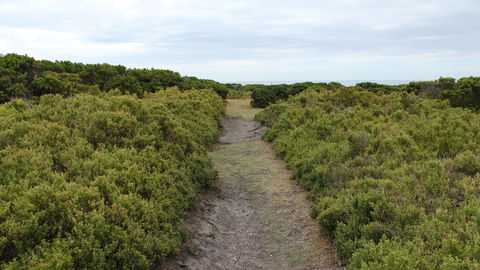 Ben Boyd National Park - Hotel Accommodation 3