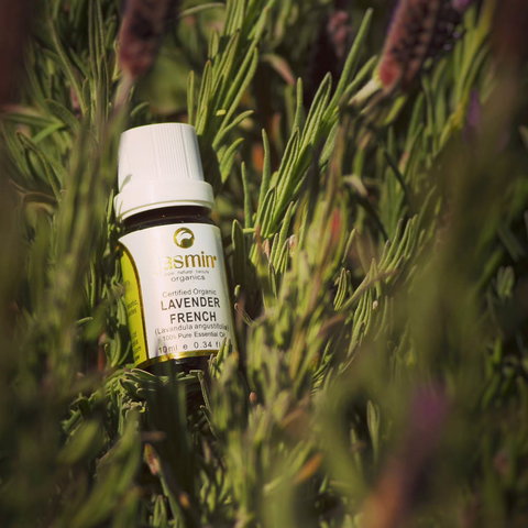 Jasmin Organics Skincare Farm And Factory - Hotel Accommodation 7