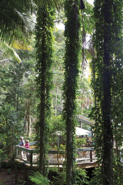 Sea Acres Rainforest Centre - Hotel Accommodation 1