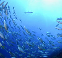 Cape Byron Marine Park - Hotel Accommodation