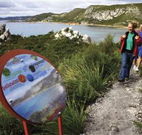 Rocky Cape National Park - Hotel Accommodation