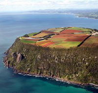 Table Cape - Hotel Accommodation