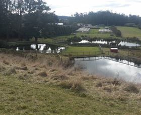 West Ridgley TAS Hotel Accommodation