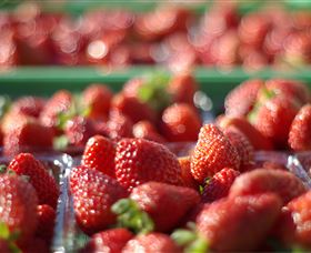 Turners Beach TAS Hotel Accommodation