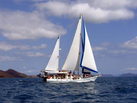 Adventure, Cruise, Dive And Outer Reef - Whitsundays Sailing Adventures - Hotel Accommodation 6