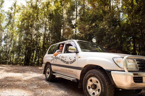 Tall Timbers Adventure Tours - Hotel Accommodation 11