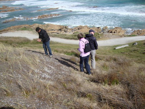 Tall Timbers Adventure Tours - Hotel Accommodation 12