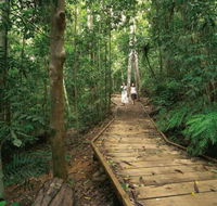 Lake Barrine Circuit Track Crater Lakes National Park - Hotel Accommodation
