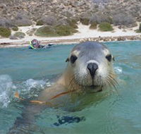 Calypso Star Charters - Hotel Accommodation