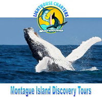 Lighthouse Charters Narooma - Hotel Accommodation