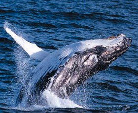 Australian Spirit Sailing Company - Hotel Accommodation 4