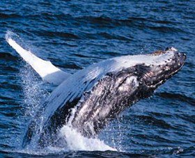 Australian Spirit Sailing Company - Hotel Accommodation 7