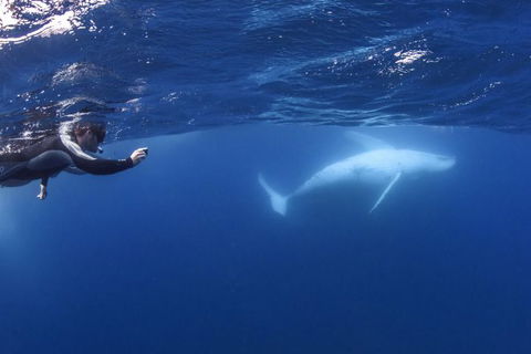 Sunreef Mooloolaba - Hotel Accommodation 2