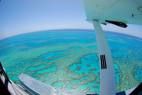 Air Whitsunday Seaplanes - Hotel Accommodation 1
