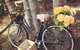 Childers Wine Trail - thumb 13