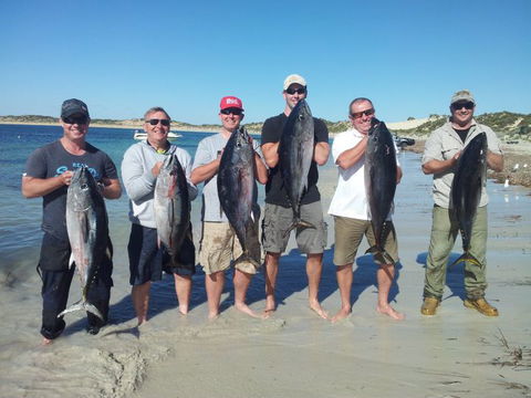 Reef Encounters Fishing Charters. - Hotel Accommodation 7
