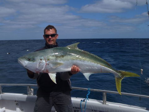 Reef Encounters Fishing Charters. - Hotel Accommodation 11
