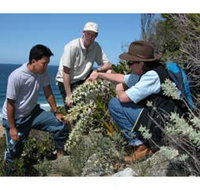 Sapphire Coast Ecotours - Hotel Accommodation