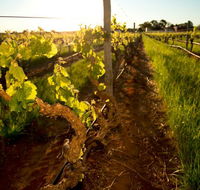 Kaesler Old Vine Vineyard Tour - Hotel Accommodation