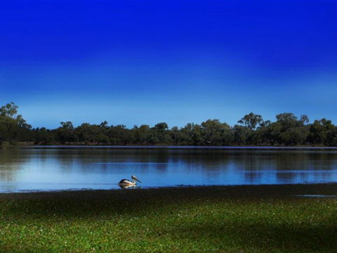 Stars, Parks And Legends Drive - Hotel Accommodation 2