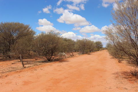 Stars, Parks And Legends Drive - Hotel Accommodation 9