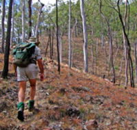 Shepherd's Peak Trail