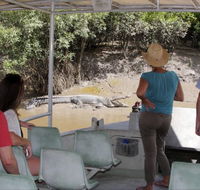 Whitsunday Crocodile Safari - Hotel Accommodation