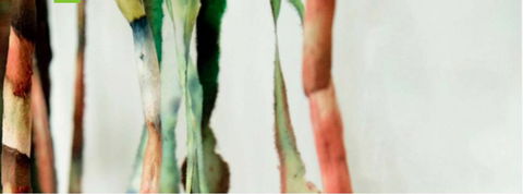 Watch This Space - Hotel Accommodation 1