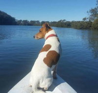 Australis Canoes  Kayaks - Hotel Accommodation