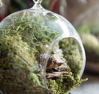 Moxom and Whitney - Hotel Accommodation