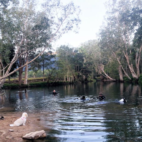 Rainforest Scuba - Hotel Accommodation 1