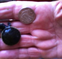 Hurleys Aquariums - Hotel Accommodation