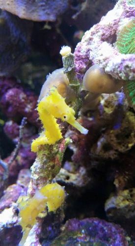 Tropical Marine Centre - Hotel Accommodation 1