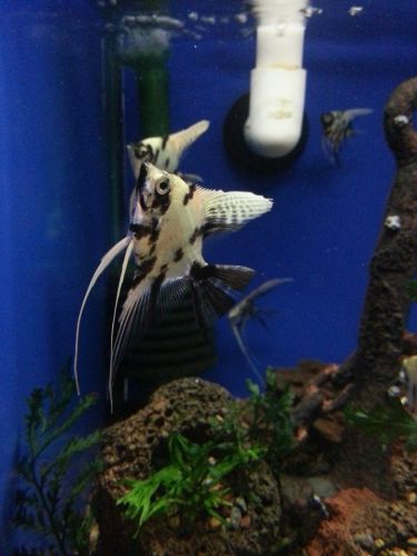 Tropical Marine Centre - Hotel Accommodation 3