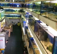 Clearwater Aquariums - Hotel Accommodation