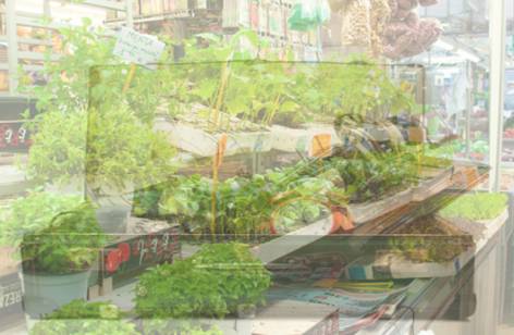 Dapto Markets - Hotel Accommodation 2