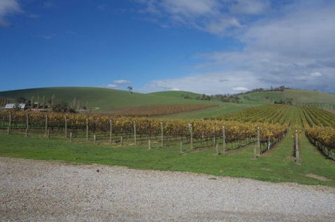 Wine Compass - Hotel Accommodation 1