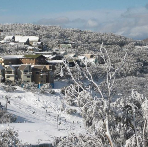 Down Under Thrills - Hotel Accommodation 2