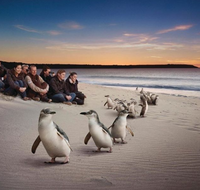 Down Under Thrills - Hotel Accommodation