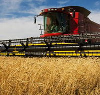 Quirindi Grain and produce - Hotel Accommodation