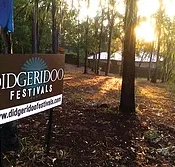 Didgeridoo Jam in the Park - Hotel Accommodation