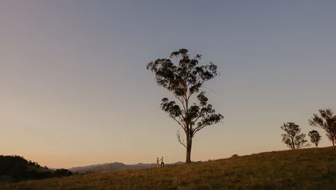 Faulls Ridge Winery - Hotel Accommodation 0