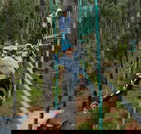 Busselton High Ropes and Zipline Adventure - Hotel Accommodation