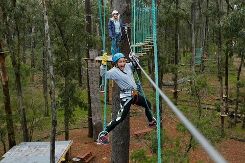 Busselton High Ropes And Zipline Adventure - Hotel Accommodation 0