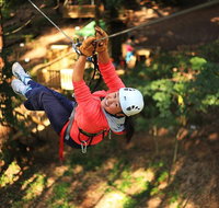 Trees Adventure Lane Poole Park - Treetop  Zipline Experience - Hotel Accommodation