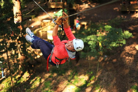 Trees Adventure Lane Poole Park - Treetop & Zipline Experience - Hotel Accommodation 0