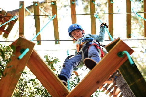 Trees Adventure Lane Poole Park - Treetop & Zipline Experience - Hotel Accommodation 1