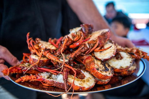Mandurah Wild Seafood Adventure Cruise - Hotel Accommodation 1
